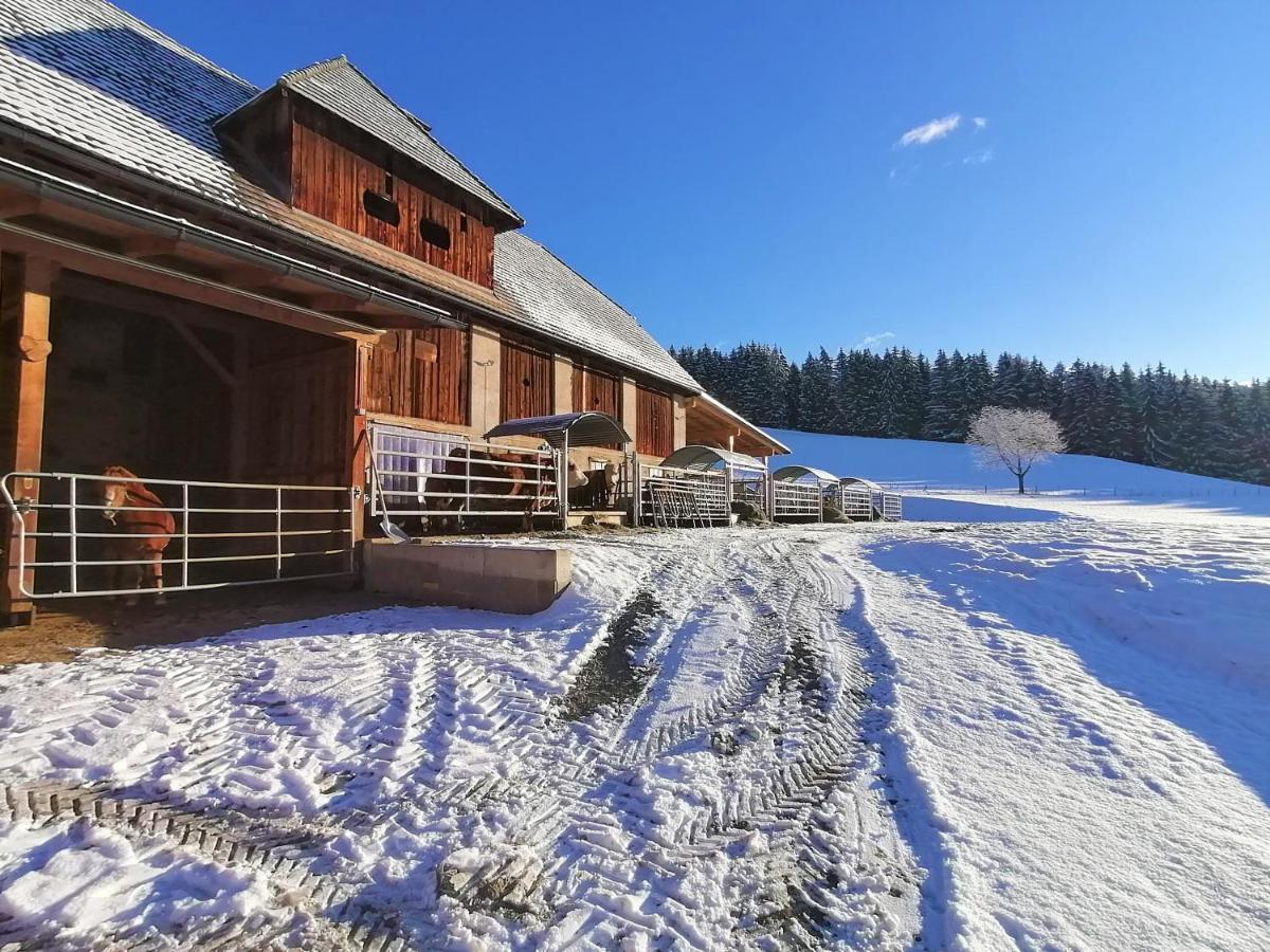Apartamento Staudachhof Althofen  Exterior foto