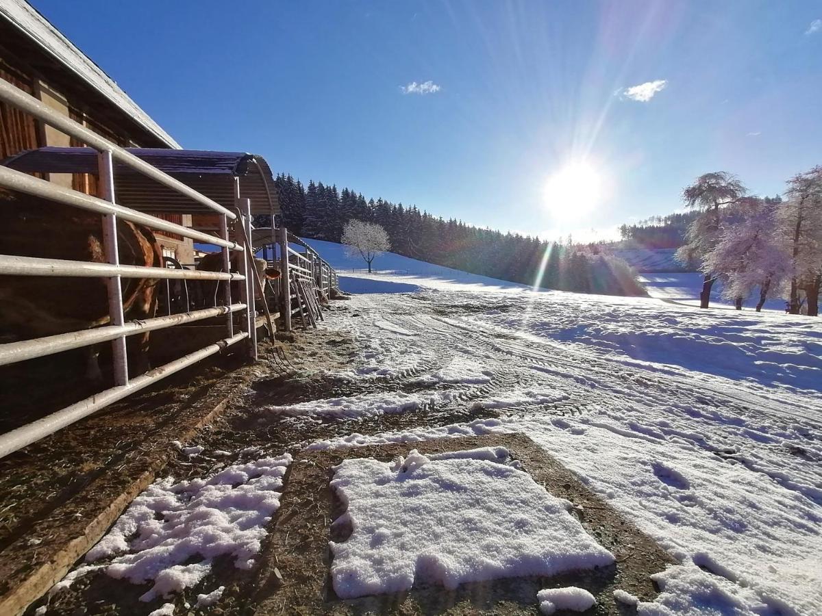 Apartamento Staudachhof Althofen  Exterior foto