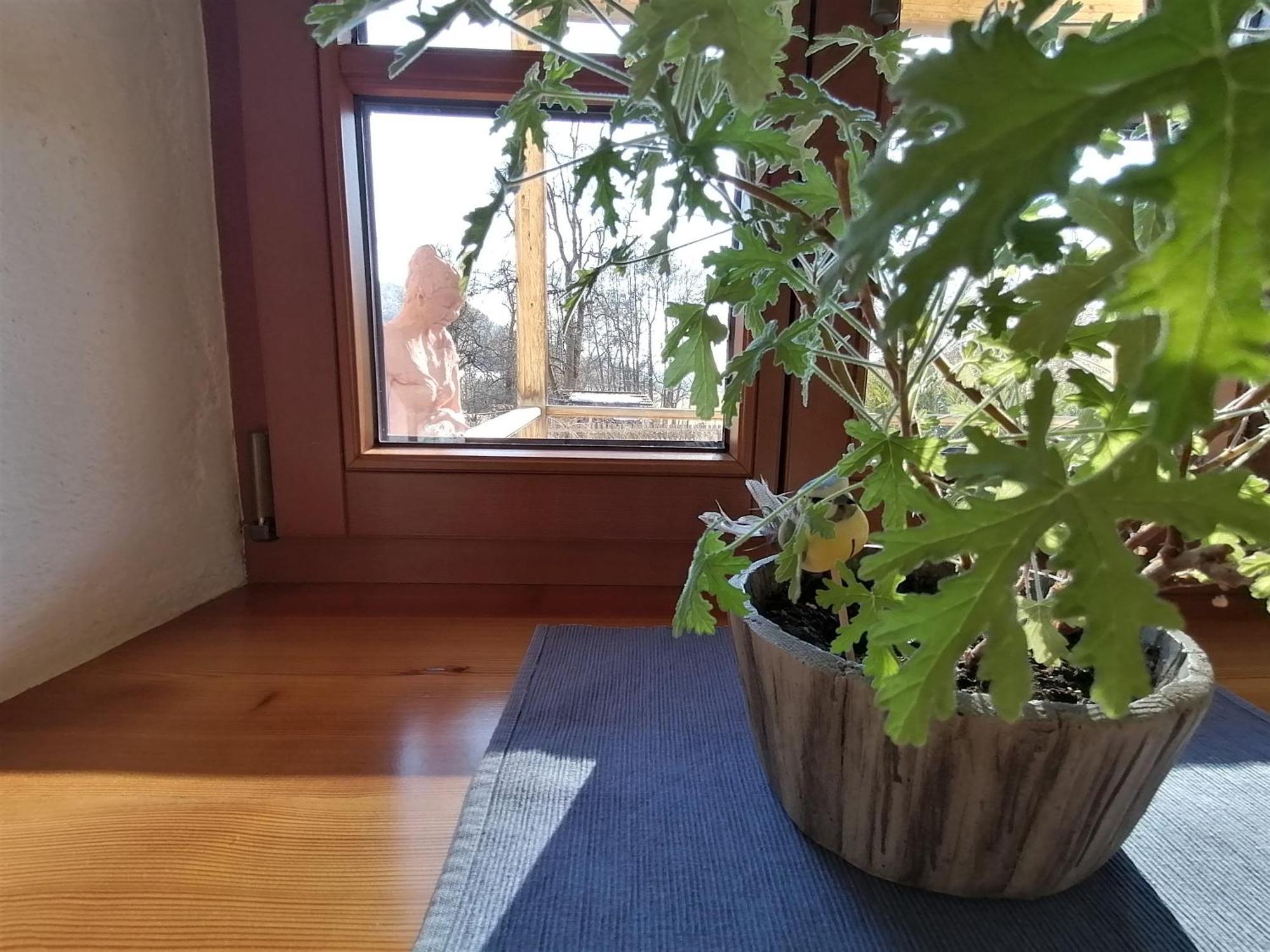 Apartamento Staudachhof Althofen  Habitación foto